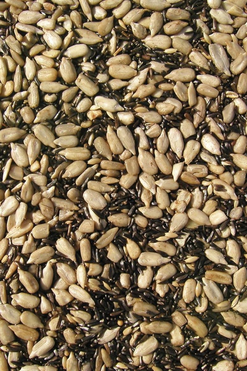 Cole's Finch Friends Bird Seed 5 lb