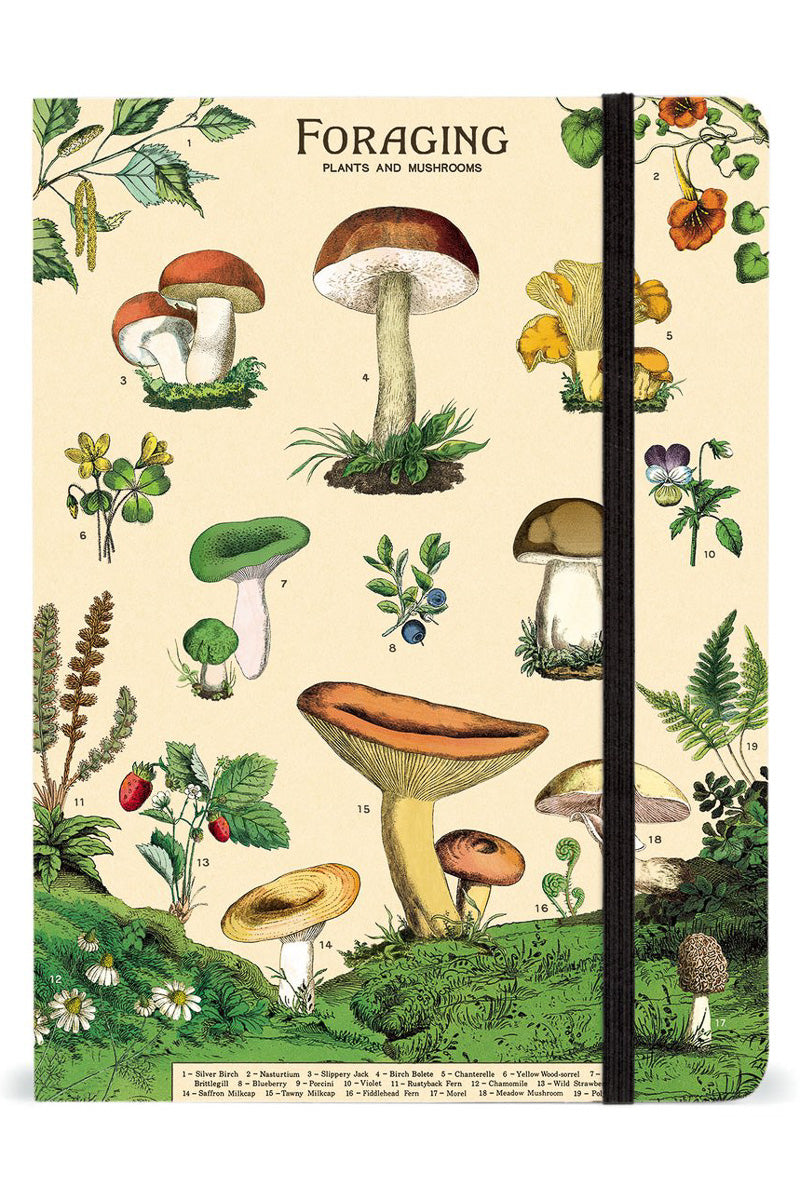 Cavallini & Co Foraging Notebook 6x8