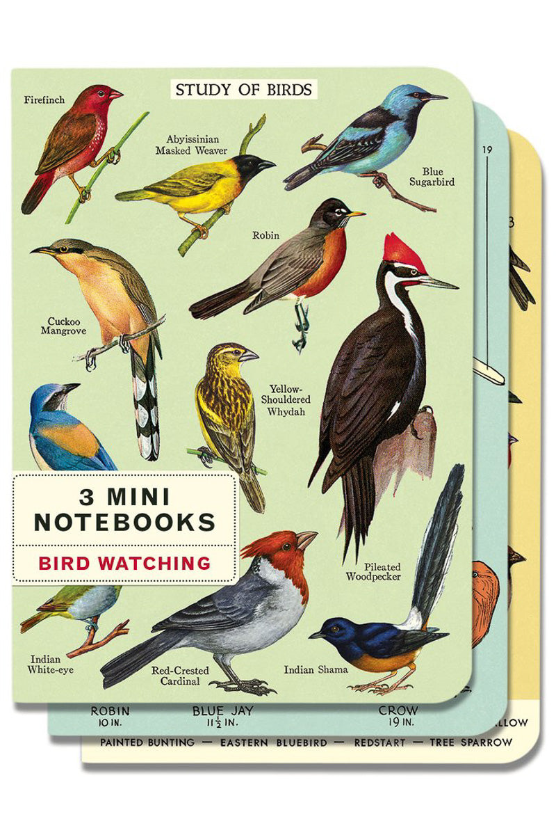 Cavallini & Co. Bird Watching Mini Notebooks