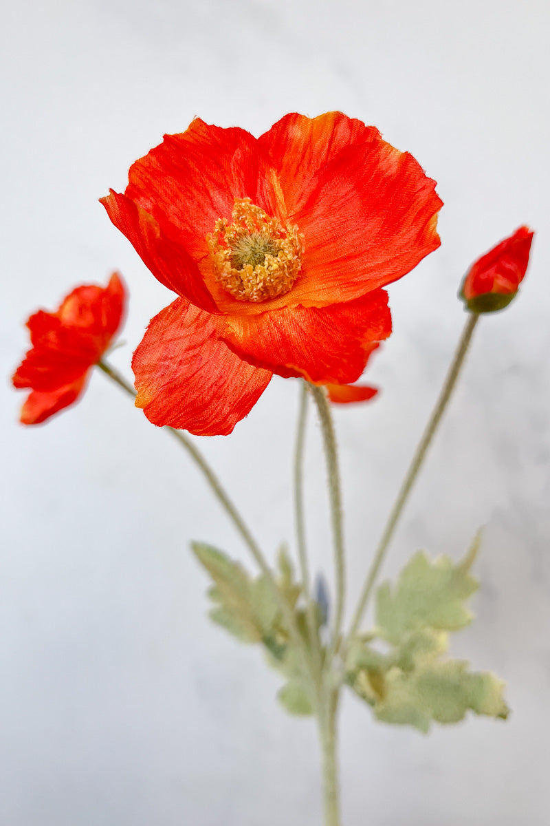 Faux Poppy Spray 23.6" Flame