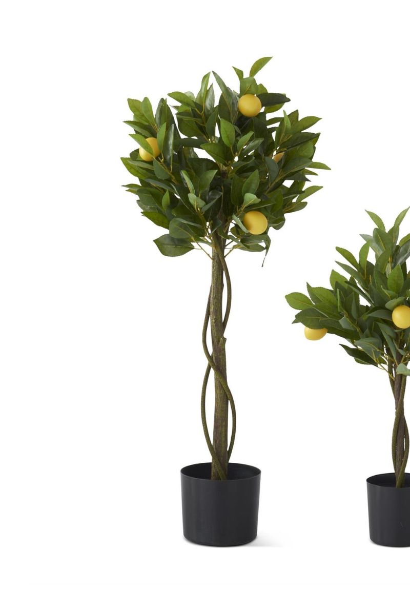 Faux Twisted Trunk Potted Lemon Tree 36"