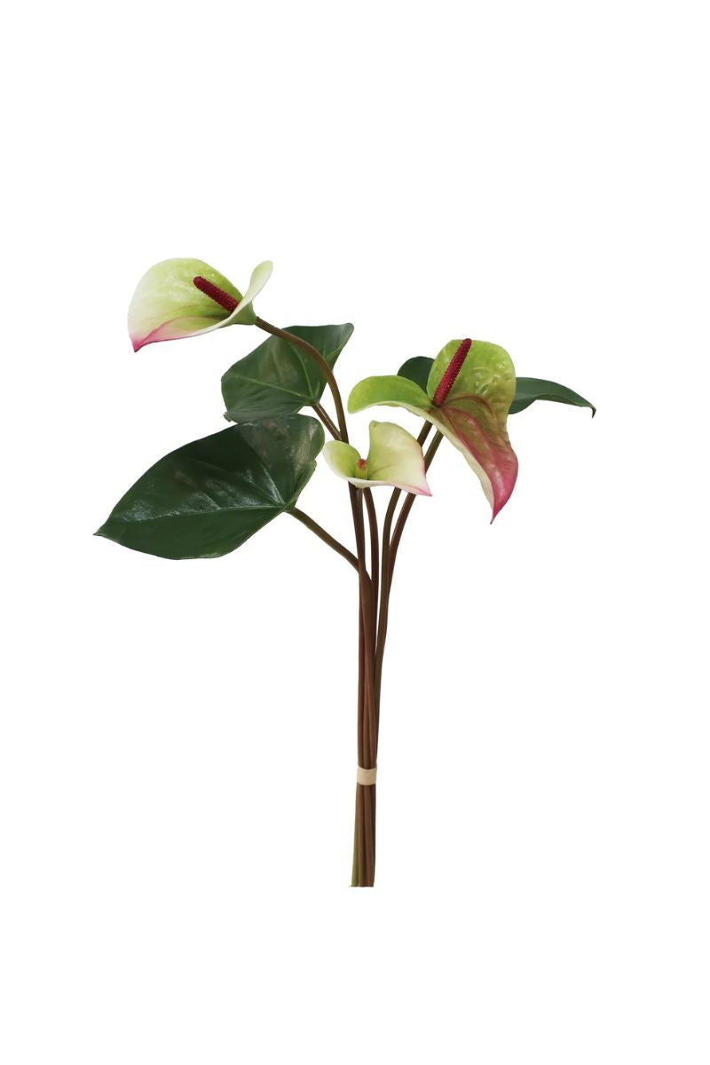 Painter's Palette Anthurium Bouquet 25" Pink Green