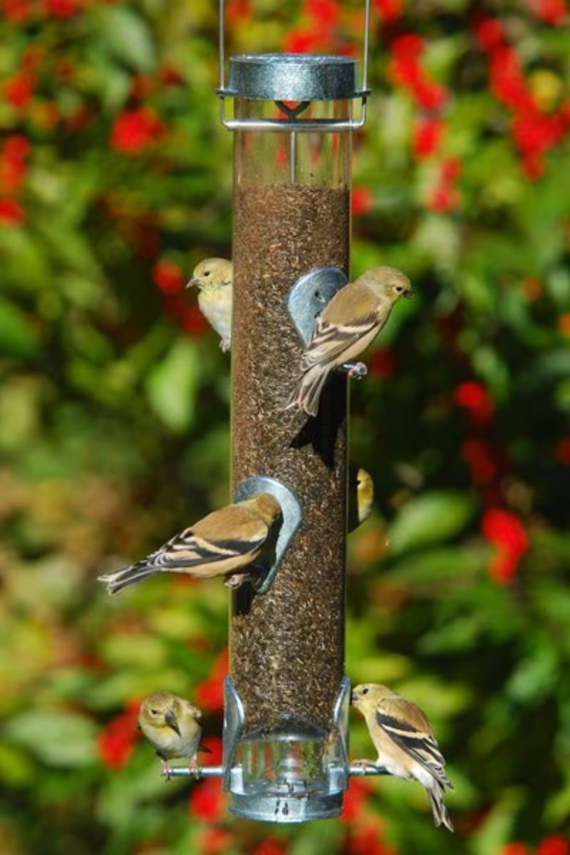 Droll Yankees Sunflower Bird Feeder with Ring Pull 16" Silver