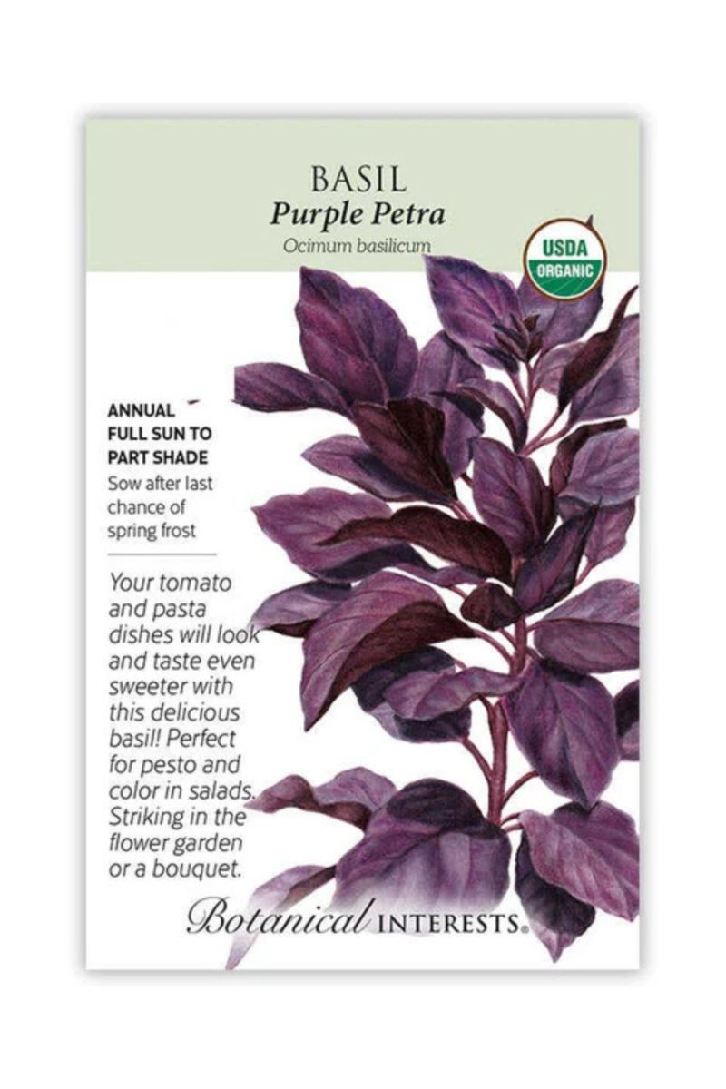Botanical Interests Purple Petra Basil Organic Seeds