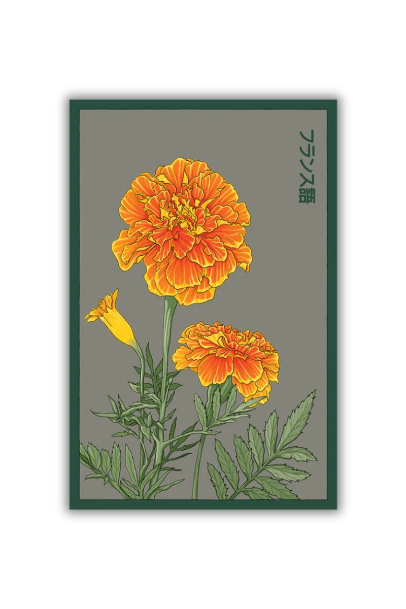 Chive French Marigold Flower Seeds