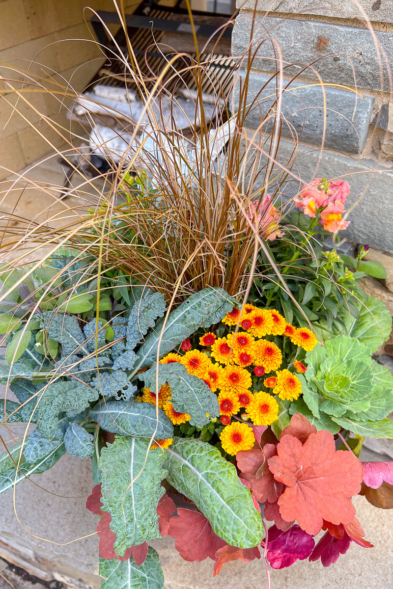 Chalet-nursery Signature | Fall | Farmhouse