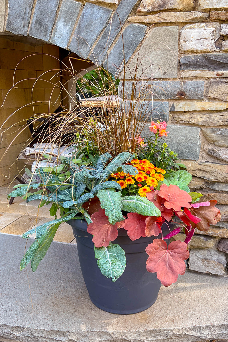 Chalet-nursery Signature | Fall | Farmhouse