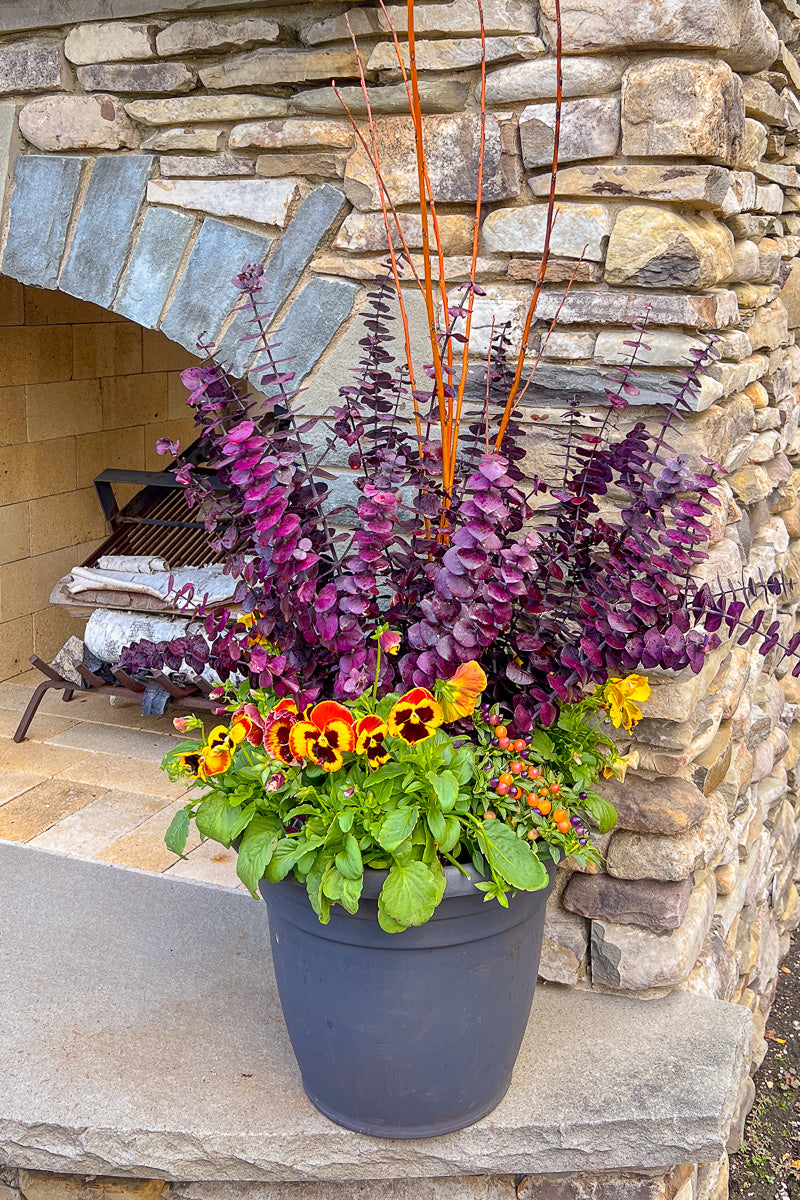 Chalet-nursery Signature | Fall | Modern