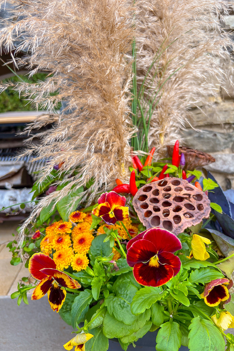 Chalet-nursery Signature | Fall | Classic + Fresh