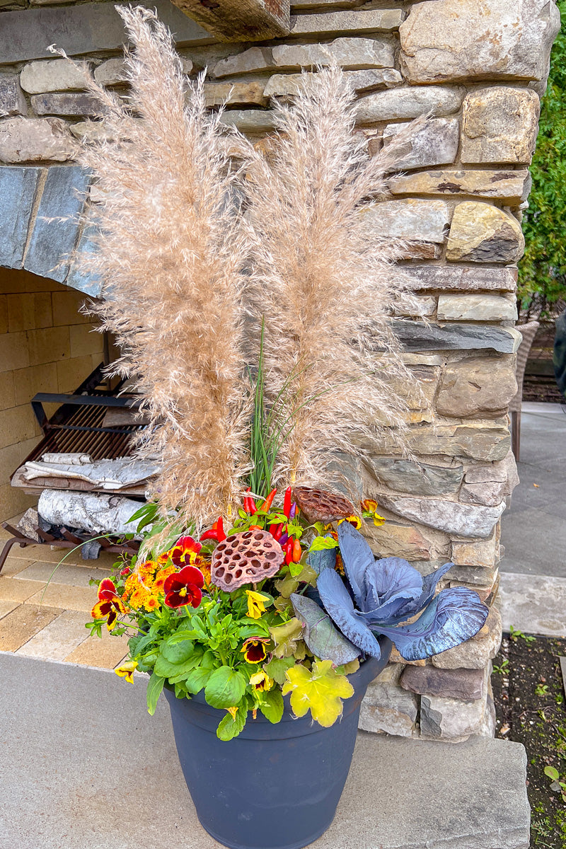 Chalet-nursery Signature | Fall | Classic + Fresh