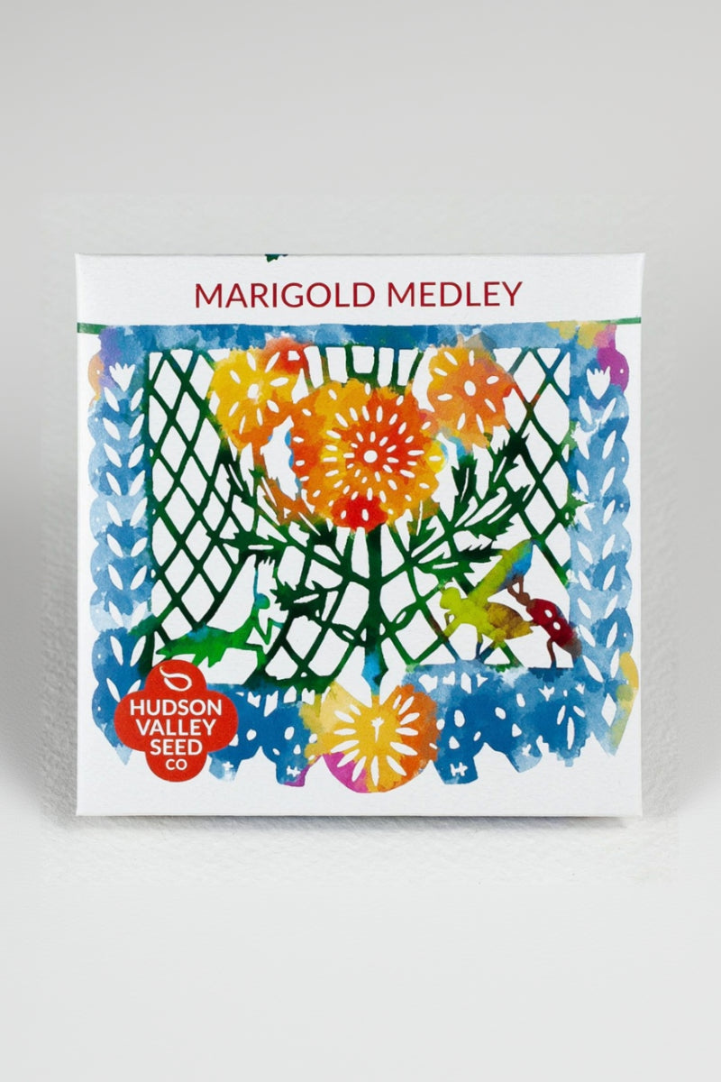 Hudson Valley Seed Co. Marigold Medley Seeds
