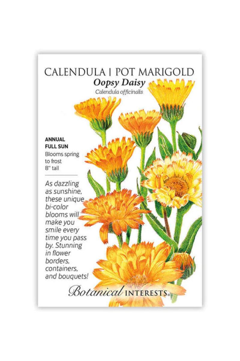Botanical Interests Oopsy Daisy Calendula (Pot Marigold) Seeds