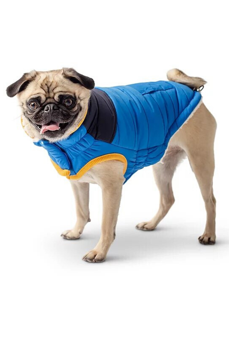 GF PET SCOUT JACKET ROYAL MD