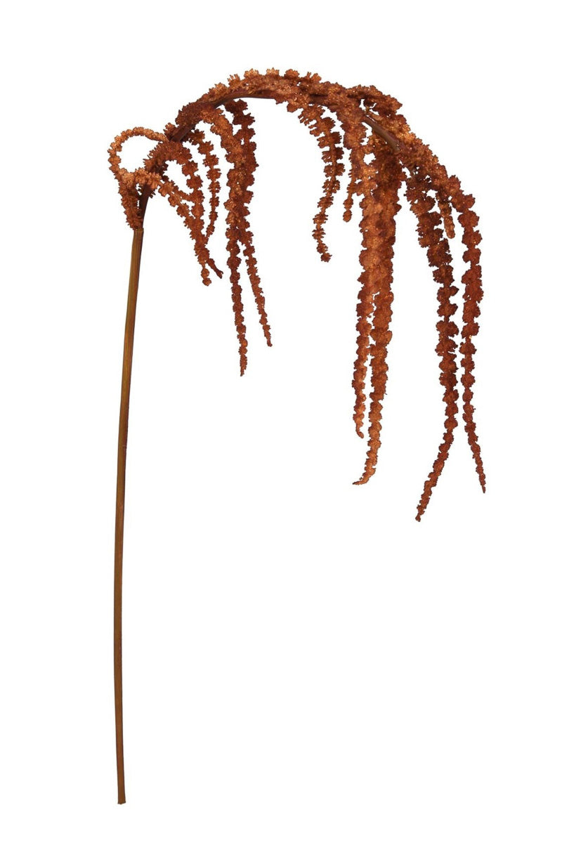 Amaranthus Hanging Stem 30" Orange